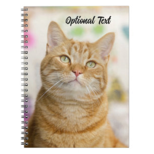 Carnet Chat tigré orange sucré personnalisé