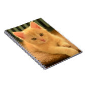 Carnet Chaton (Côté Droit)