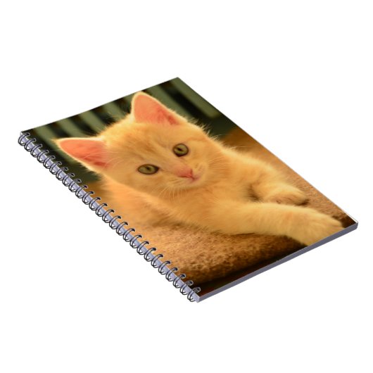 Carnet Chaton (Côté Droit)