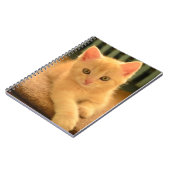 Carnet Chaton (Côté gauche)