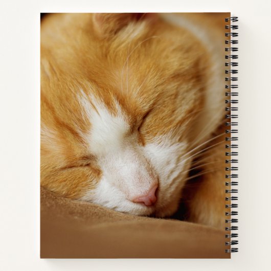 Carnet Chaton couchant (Dos)