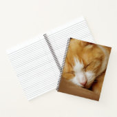 Carnet Chaton couchant (Intérieur)