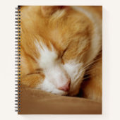 Carnet Chaton couchant (Devant)