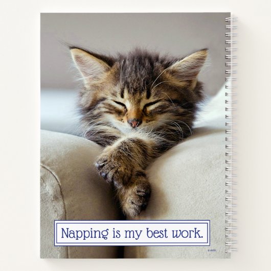 Carnet Chaton couchant (Dos)