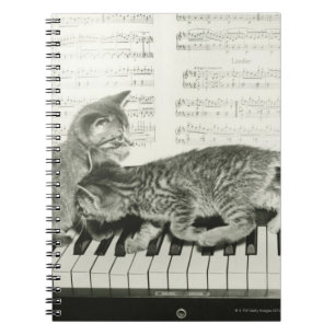 Carnet Chaton deux jouant sur le clavier de piano, (B&W)