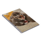 Carnet Chaton dormant (Côté Droit)