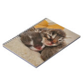 Carnet Chaton dormant (Côté gauche)