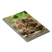 Carnet Chaton mignon de ragondin du Maine (Côté Droit)