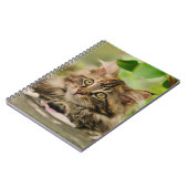 Carnet Chaton mignon de ragondin du Maine (Côté gauche)