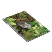 Carnet Chatons (Côté Droit)