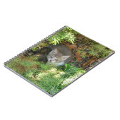 Carnet Chatons (Côté gauche)