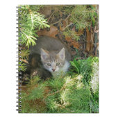 Carnet Chatons (Devant)