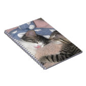 Carnet Chatons doux de sommeil (Côté Droit)