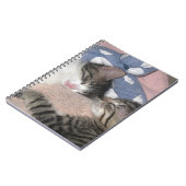 Carnet Chatons doux de sommeil (Côté gauche)