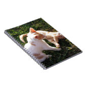 Carnet Chatons jouant dans un jardin (Côté Droit)