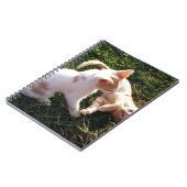 Carnet Chatons jouant dans un jardin (Côté gauche)