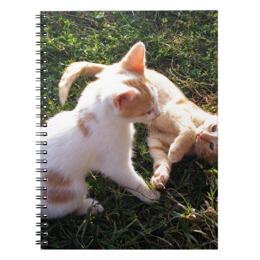 Carnet Chatons jouant dans un jardin (Devant)