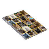 Carnet Chatons partout (Côté Droit)