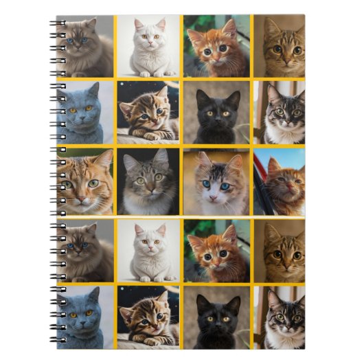 Carnet Chatons partout (Devant)