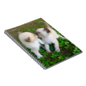Carnet chatons s'embrassant dans du trèfle (Côté Droit)