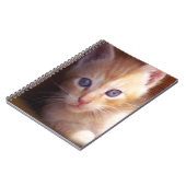 Carnet Chats (Côté gauche)