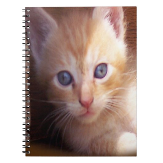 Carnet Chats (Devant)
