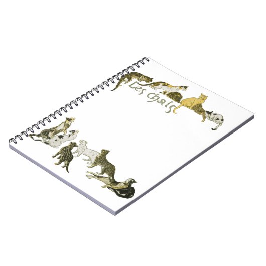 Carnet Chats, Alexandre Steinlen (Côté gauche)