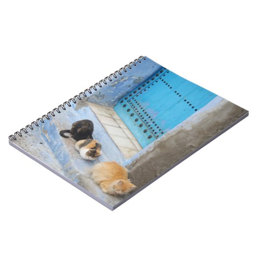 Carnet Chats, Chefchaouen, Maroc (Côté gauche)