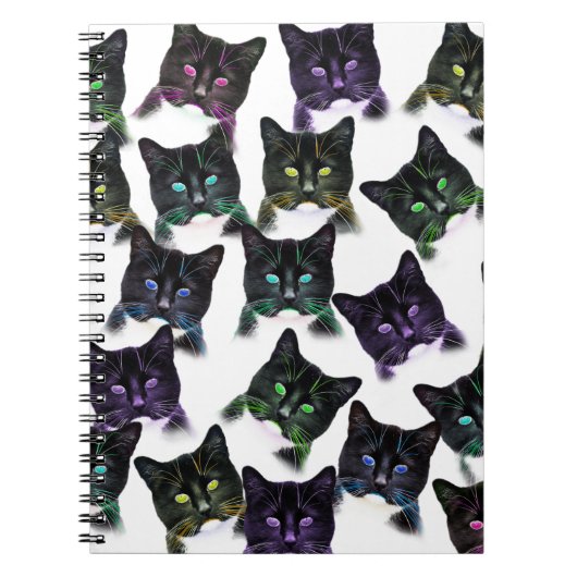 Carnet Chats cool (Devant)