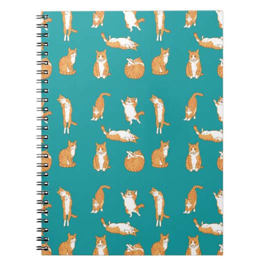 Carnet Chats orange drôles (Devant)