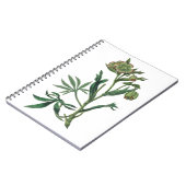 Carnet Chaudron puant hellebore fleurs vertes roux (Côté gauche)