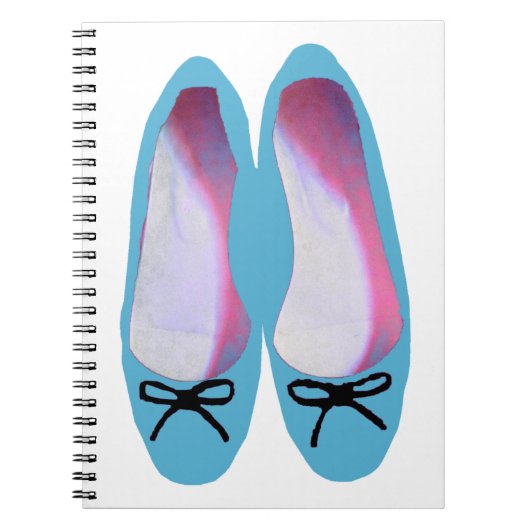 Carnet Chaussures bleues (Devant)