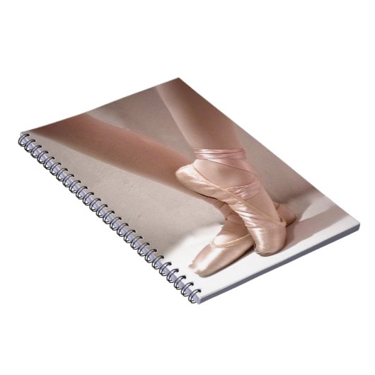 Carnet Chaussures en ballet rose (Côté Droit)