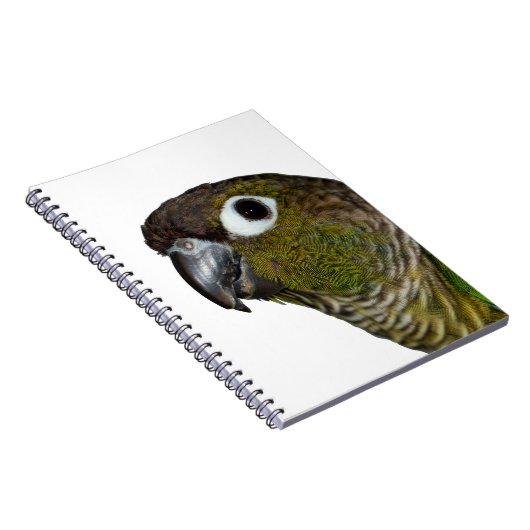 Carnet Cheeked vert Conure (Côté Droit)
