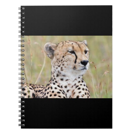 Carnet Cheetah (Devant)