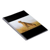 Carnet Cheetah (Côté Droit)