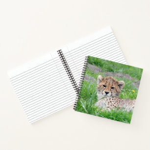 Carnet Cheetah 002