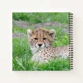Carnet Cheetah 002 (Dos)