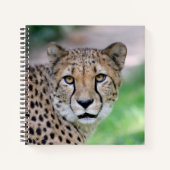 Carnet Cheetah 009 (Devant)