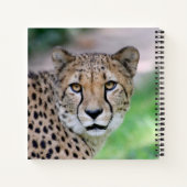 Carnet Cheetah 009 (Dos)