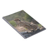 Carnet Cheetah assis sur un arbre tombé dans la nature (Côté Droit)