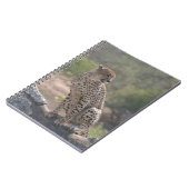 Carnet Cheetah assis sur un arbre tombé dans la nature (Côté gauche)