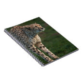 Carnet Cheetah prêt à rebondir (Côté Droit)
