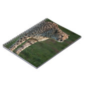 Carnet Cheetah prêt à rebondir (Côté gauche)