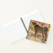 Carnet Cheetah regarde autour de lui (Intérieur)