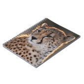 Carnet Cheetah regarde loin (Côté gauche)