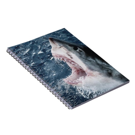 Carnet Chef du grand requin blanc (Côté Droit)