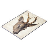 Carnet Chef d'un Stag - Albrecht Durer - c1503 (Côté gauche)