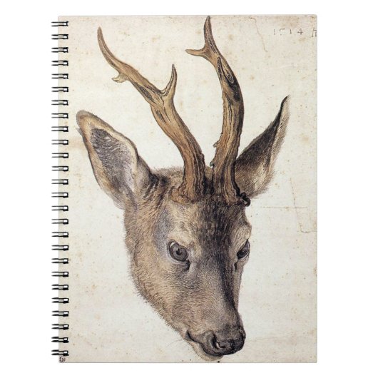 Carnet Chef d'un Stag - Albrecht Durer - c1503 (Devant)