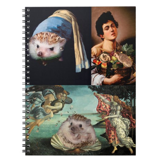Carnet Chefs d'oeuvre de hérisson (Devant)